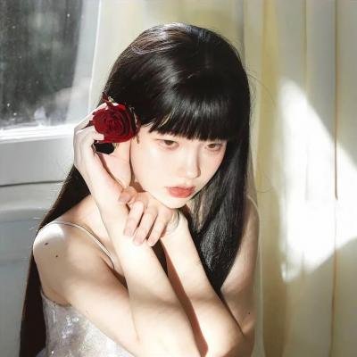 少女情怀尽是诗
